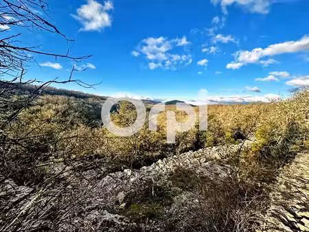 vente terrain saint-andré-de-cruzières 07460 - - surface privée