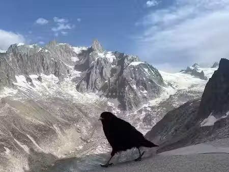 vente locaux professionnels à chamonix-mont-blanc (74400)  469 000 €
