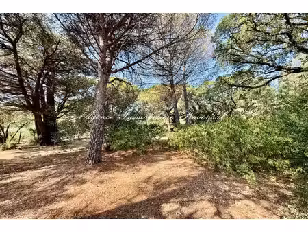 achat terrain 2 392m² ste maxime 83120