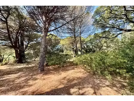 vente terrain