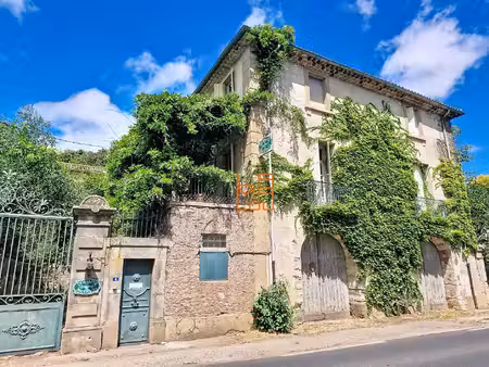 maison de maitre  pleine de charme  avec jardin  cour  dépendances...