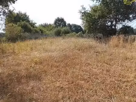vente terrain à soulaines-sur-aubance (49610) : à vendre / 2400m² soulaines-sur-aubance