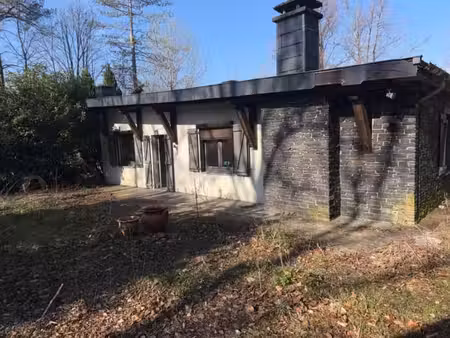 saint-hubert : belle propriété arborée à réhabiliter