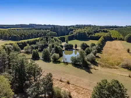 terrain de plus de 2 ha avec étang à proximité de bastogne