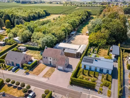 maison à vendre à herk-de-stad € 699.000 (lr0ax) - esposito vastgoed | zimmo