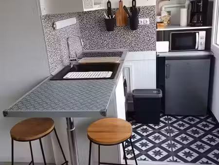 location appartement 1 pièce 26 m² à villeurbanne (69100)