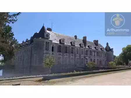 charmant appartement dans château historique à avaray