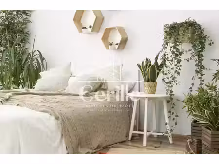 achat : appartement (05200)