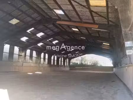 domaine équestre avec gites et 22 ha