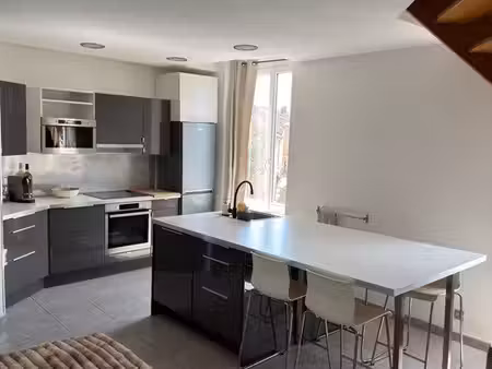 duplex t2/t3  centre de neuville sur saône
