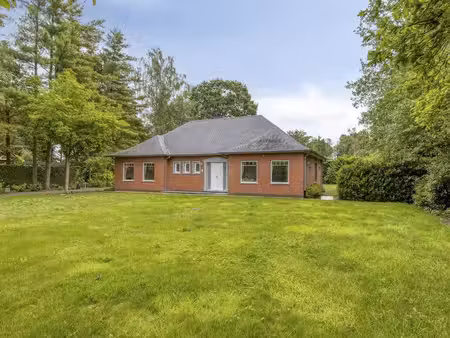 maison à vendre à zolder € 649.000 (lr0nj) - dewaele - hasselt verkoop | zimmo