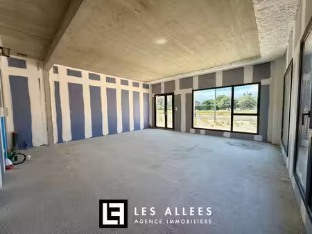 immobilière les allées