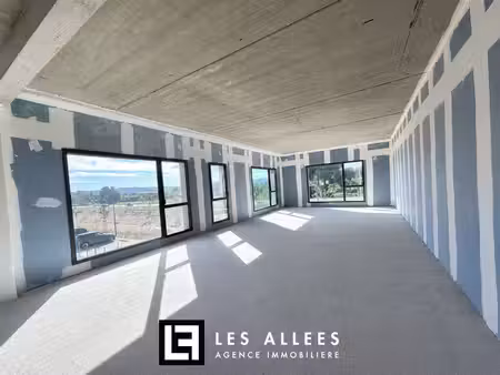 immobilière les allées
