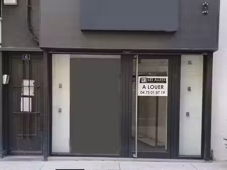 immobilière les allées
