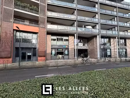 immobilière les allées