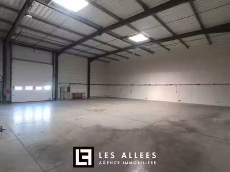 immobilière les allées