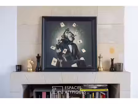 appartement de charme au coeur du vieux tours