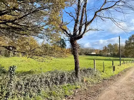 vente terrain à batir 3800 m² à pont-de-larn (81660)  49 000 €