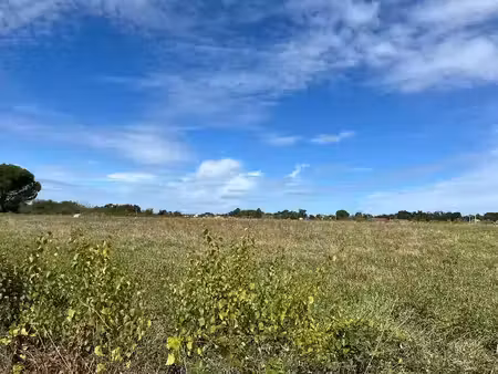 vente terrain 900 m² à lagrave (81150)  70 000 €