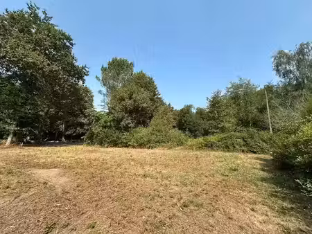 vente terrain 878 m² à magescq (40140)  145 000 €