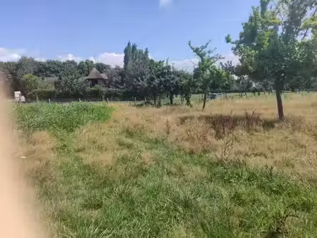 vente terrain 669 m² à saint-martin-aux-chartrains (14130)  95 000 €