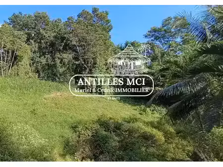 vente terrain à batir 1632 m² à riviere salee (97215)  99 900 €