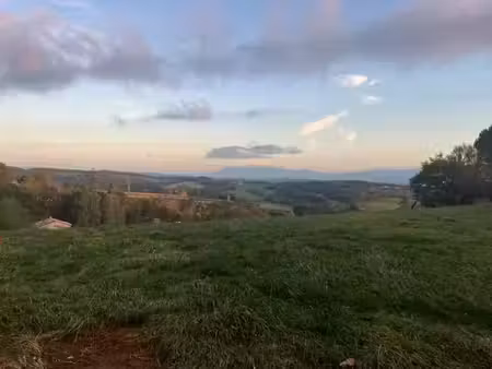 vente terrain 7694 m² à castres (81100)  115 000 €