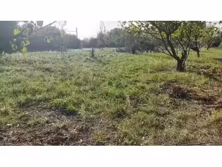 vente terrain 467 m² à sénas (13560)  160 000 €
