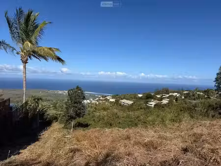 vente terrain à batir 505 m² à les avirons (97425)  160 500 €