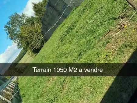 parcelle