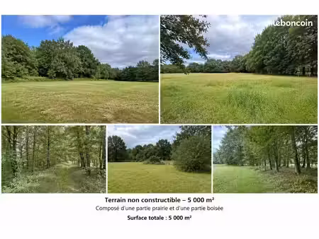 terrain non constructible