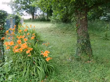 tres grande maison et magnifique parc