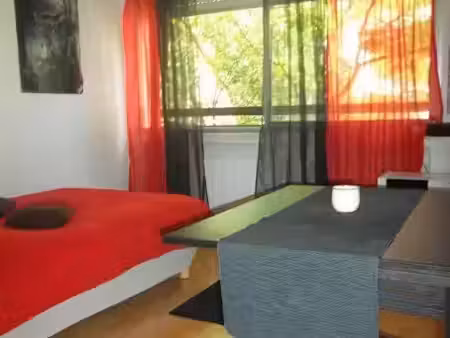 location meublée appartement 1 pièce 20 m² à montpellier (34000)  495 €