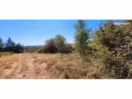 terrain en plein coeur des vignes
