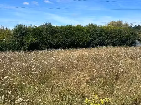 terrain constructible à vendre