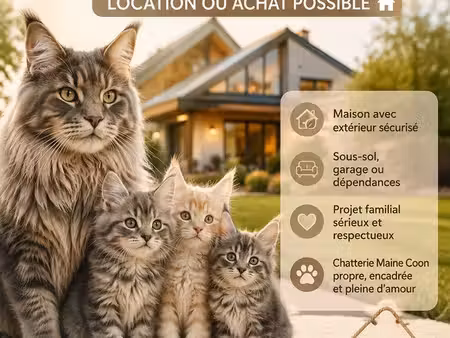 recherche grande maison ...tu aimes les chats ?