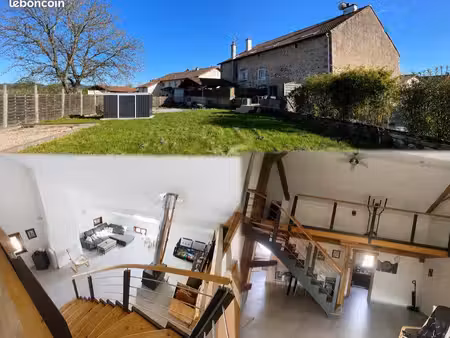 grand loft avec jardin