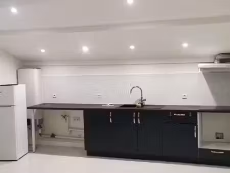 appartement t2 de 45m² refait à neuf et très faible charges