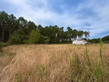 terrain à vendre