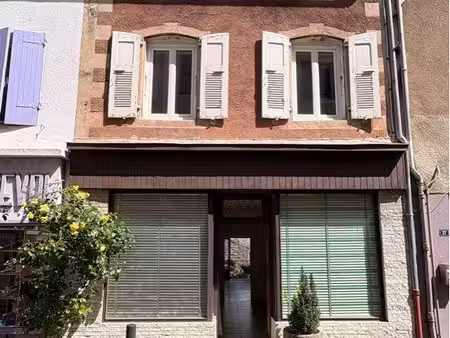 maison de village avec terrasse  jardin et garage