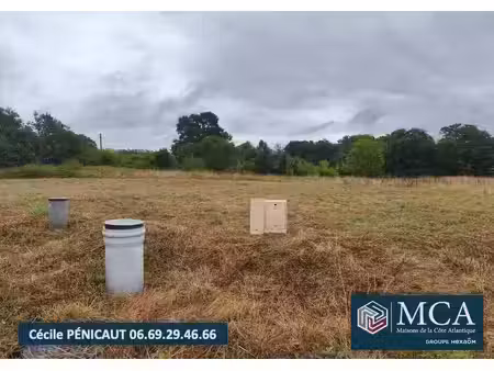 terrain constructible viabilisé à vendre