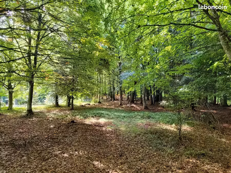 propriété avec terrain