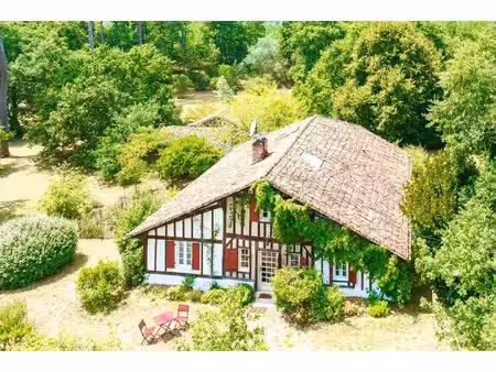 wattine immobilier
