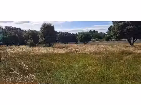 terrain constructible à vendre