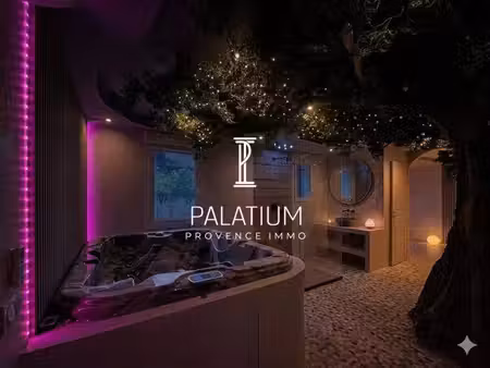palatium immobilier