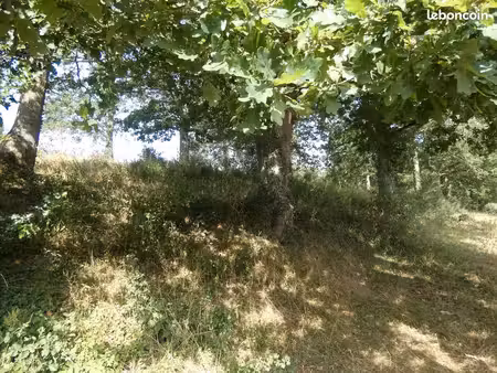 terrain 4 730 m² potigny