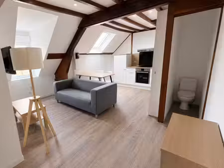 f1 meublé avec cave entièrement rénové et loué idéal investisseur – falaise  quartier guib