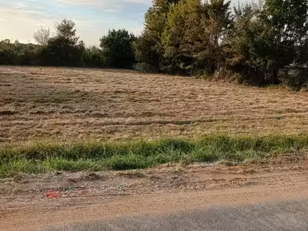 terrain à construire