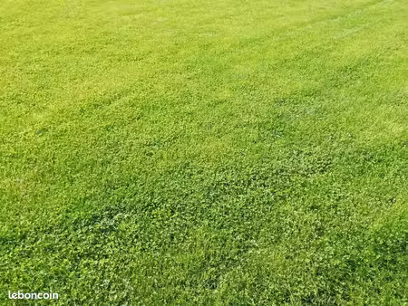 terrain 406 m² saint brandan