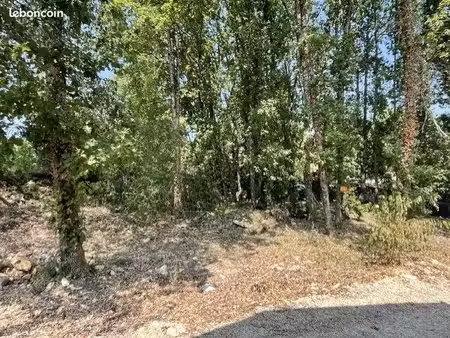 terrain constructible arboré